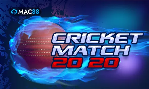 99wicket Bet